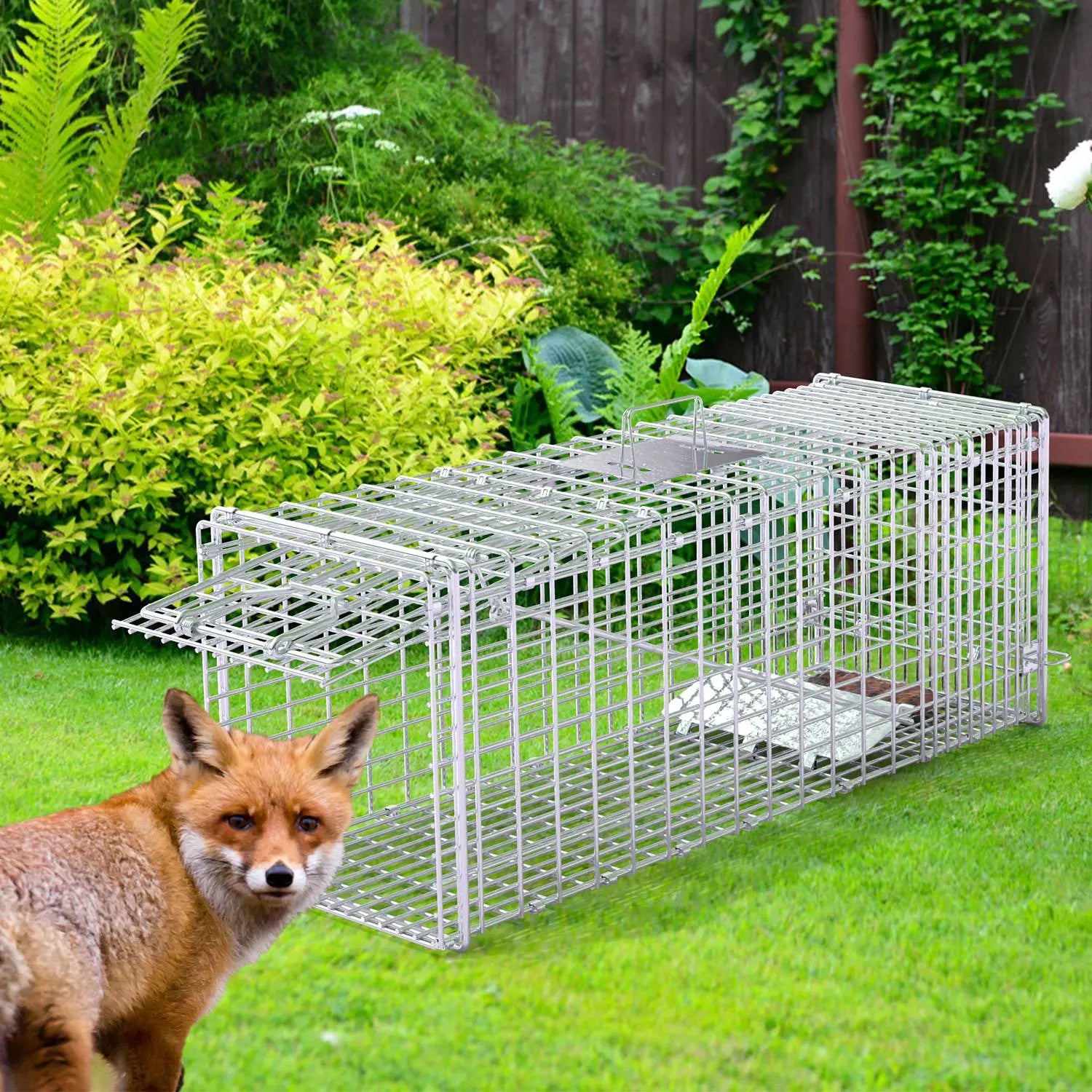 1Pc Live Animal Trap Cage 37x14x15in Folding Catch And Release Humane Cat Trap Galvanized Iron For Raccoons Foxes Coyotes Stray Dogs Armadillos Squirrels Smart Desion