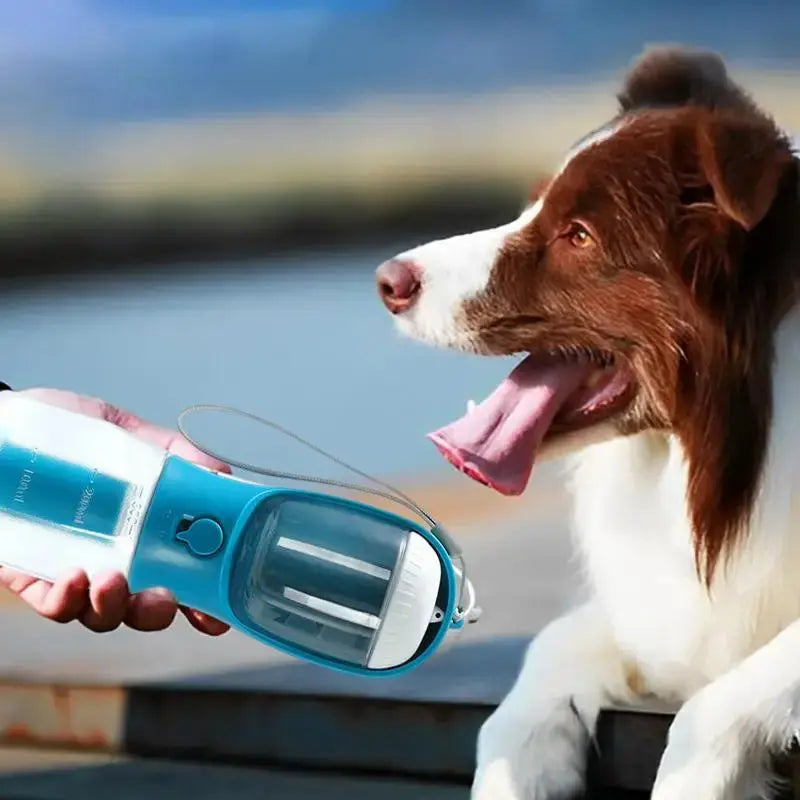 3-in-1 Portable Dog Water Cup with Food & Bag Dispenser Smart Desion