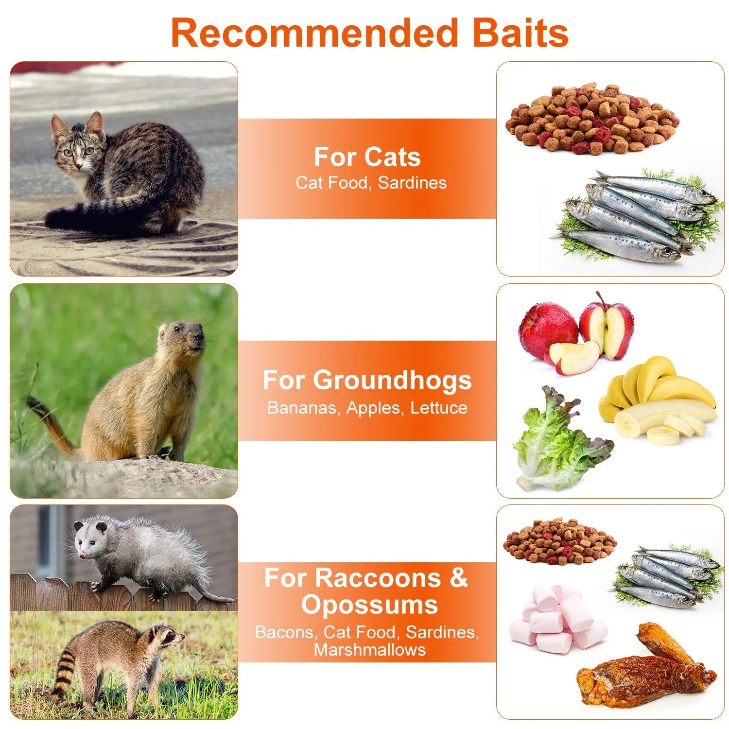 1Pc Live Animal Trap Cage 37x14x15in Folding Catch And Release Humane Cat Trap Galvanized Iron For Raccoons Foxes Coyotes Stray Dogs Armadillos Squirrels Smart Desion